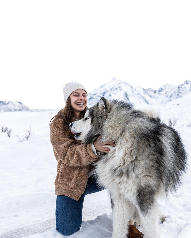 Brooke-Wexler-pet-lover