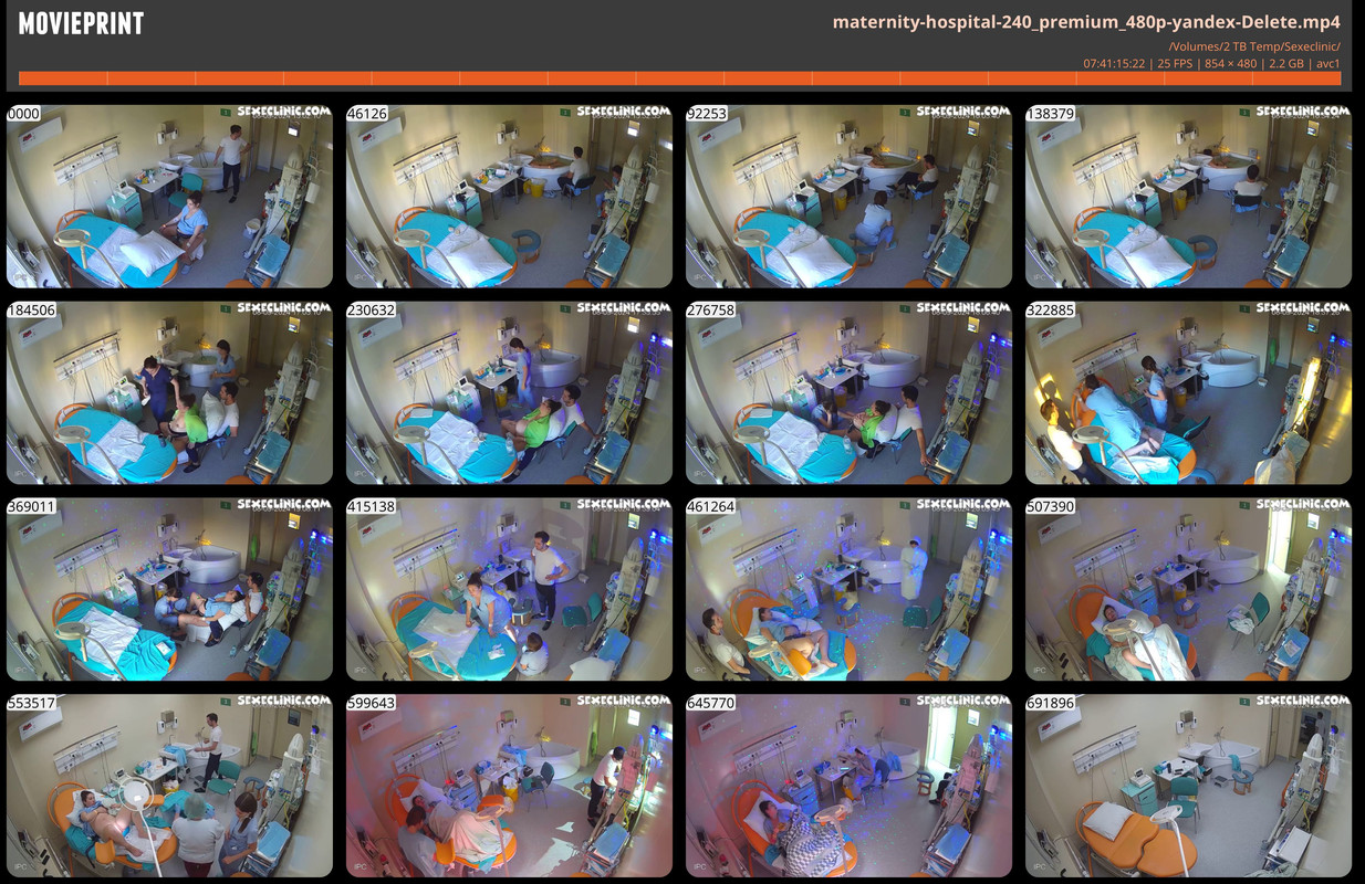 maternity-hospital-240_premium_480p-yandex-Delete.mp4-MoviePrint-1