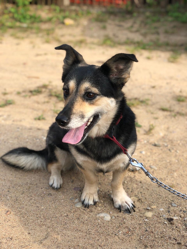 170843CF-78B7-4FCD-9D82-C870E0BC015D