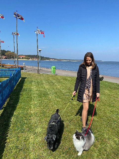 08-F17-EFE-1-ED1-4-C01-9233-97-E05436-FE