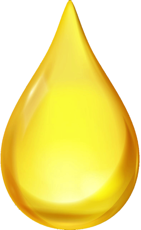 Sunflower Oil