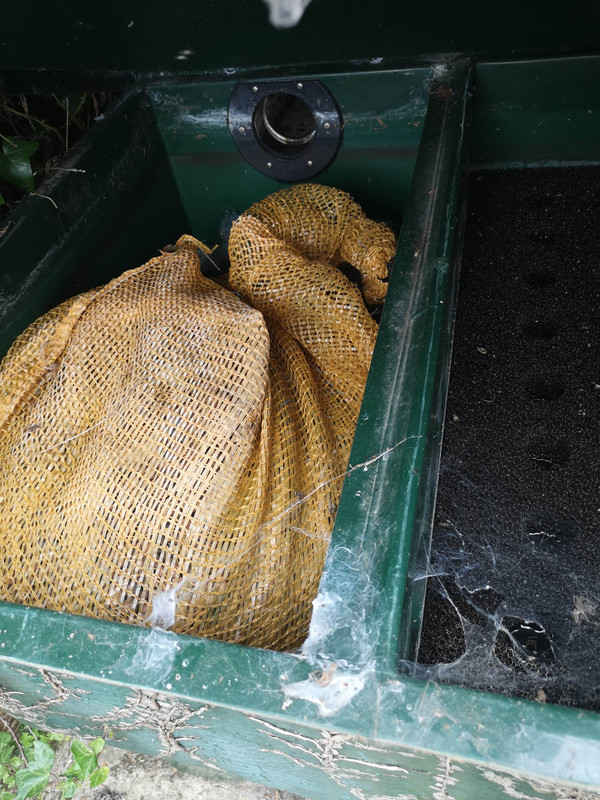 received_1624429167735366