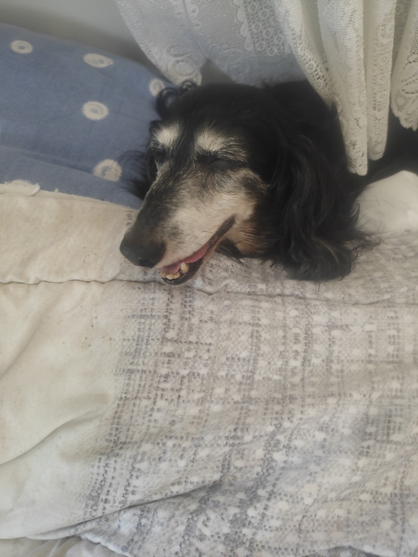 [Image: IMG-20240705-141042.jpg]