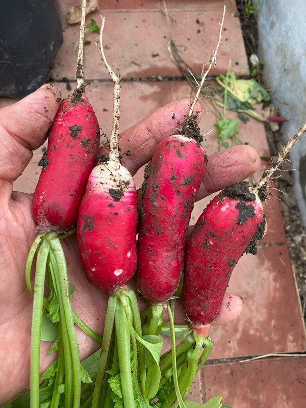 rwa4494VmqtyagCvB2I-7mWWLCAN36MMrAFiCvq_pxR7SQTdRE1yDiGYShTN9PWmT0k0mRm_QzPrTvYgYdb4a0ZY