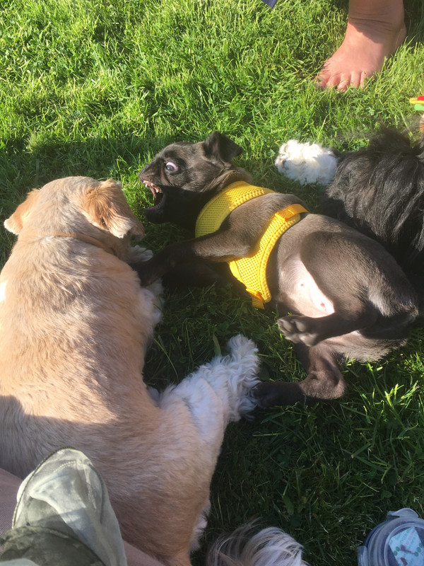 EE596949-29AD-44E7-8FE0-DA482B2B5E7F