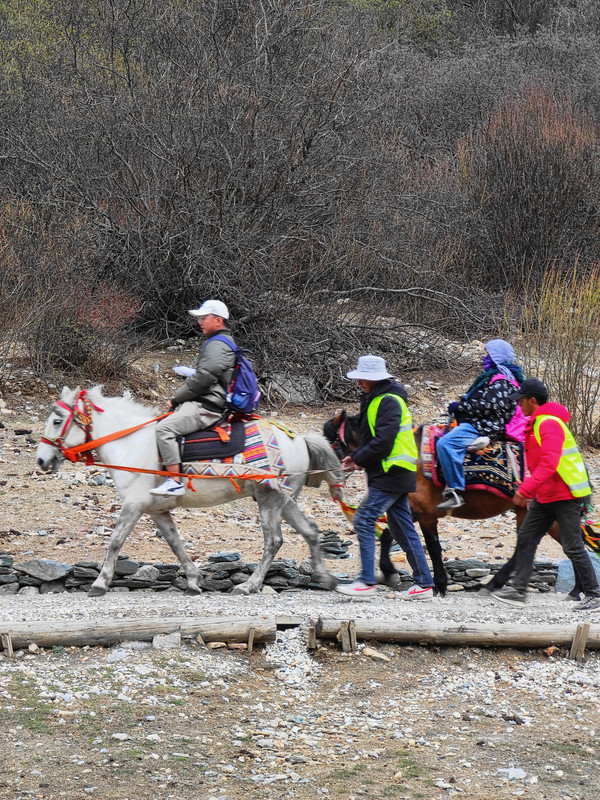 IMG_20230520_101840_副本