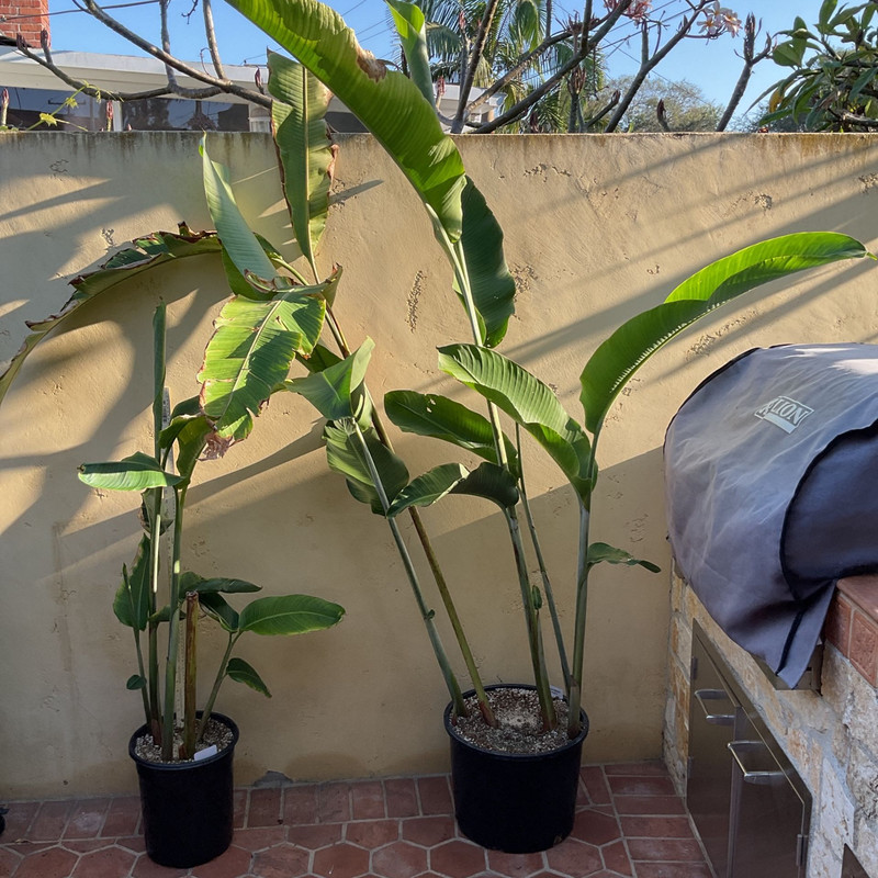 2c2105b2b4a34627b49b806fafedfd68