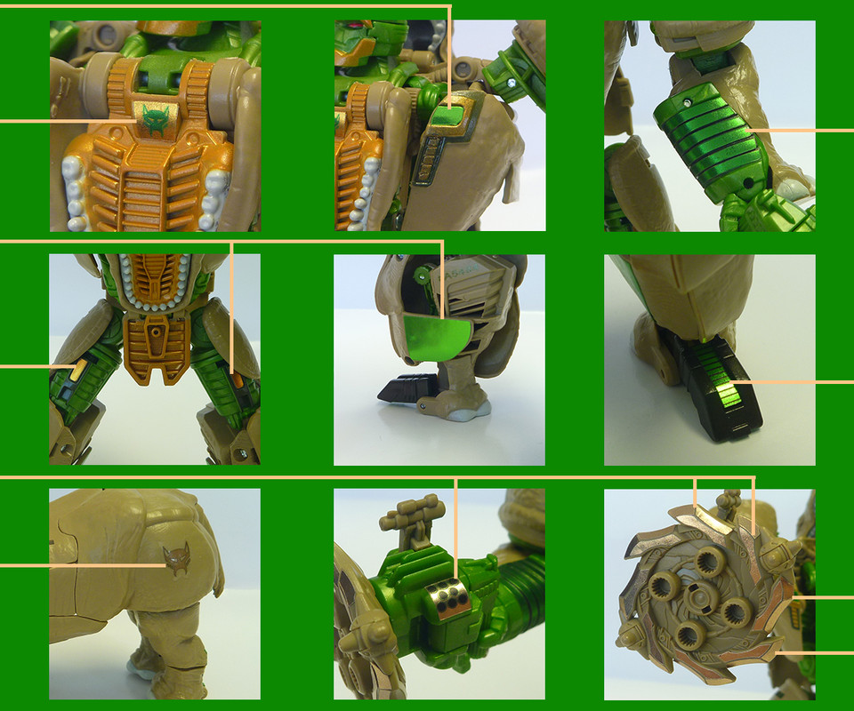 rhinox_2