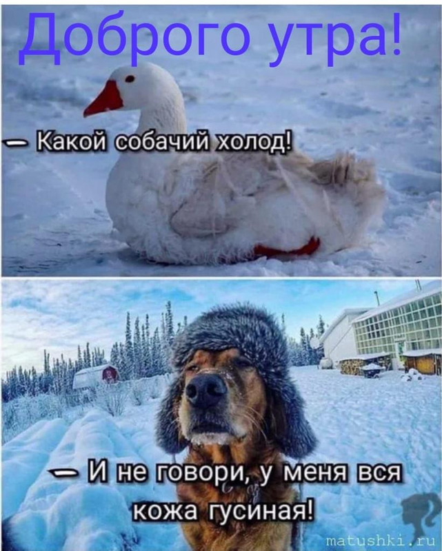 E3641817-F510-42F3-9395-7785C96A79B6