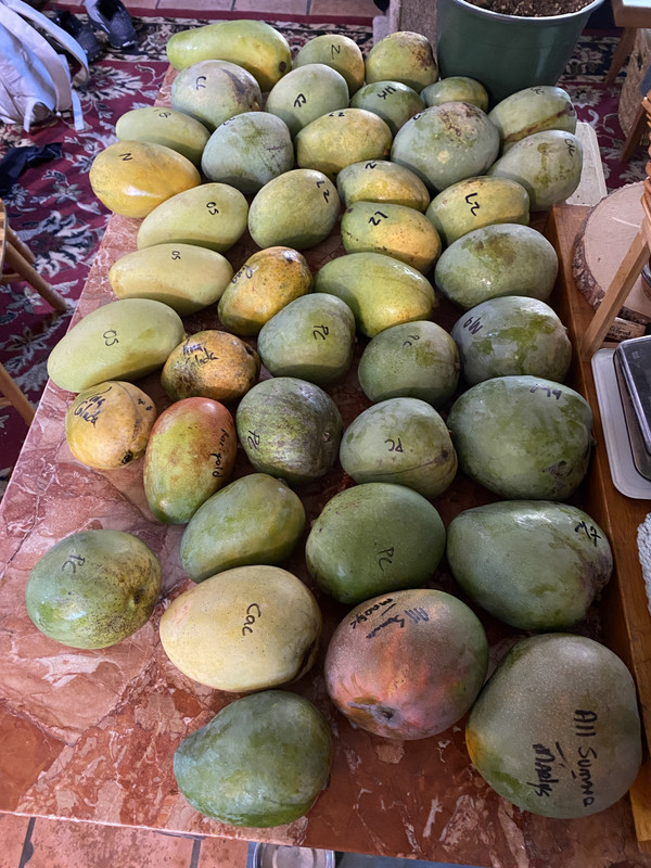 4 D451 Bac C4 Fe 470 D 8 B86 9 D9 B0 Ff322 Ee Postimages