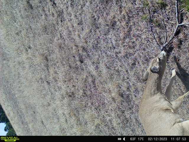 D31250-A1-9-BF6-46-A8-8-A41-32-DDE5-E0-C