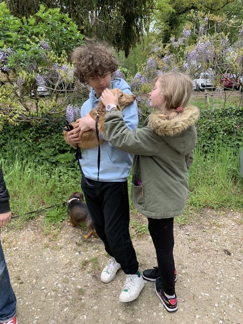 [Image: 9902239-D-B454-4026-9-DE1-A46932-C4-EB5-A.jpg]