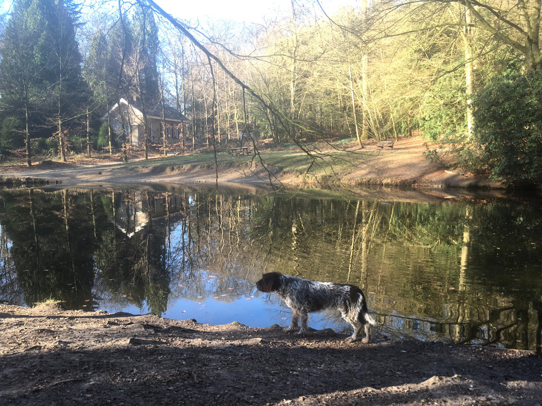 2025-18-03 Claire eenden 1 IMG_4783 (002)