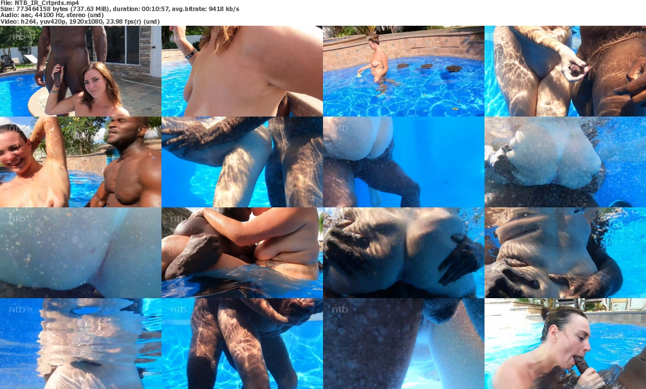 04032024120434screenshot