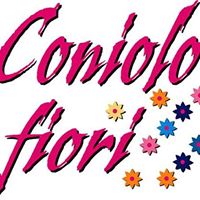 20 E 21 MAGGIO 2017
CONIOLO FIORI