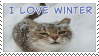 I love winter
