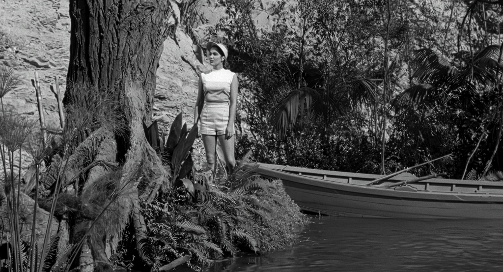 Black Lagoon Reference 2 (2)