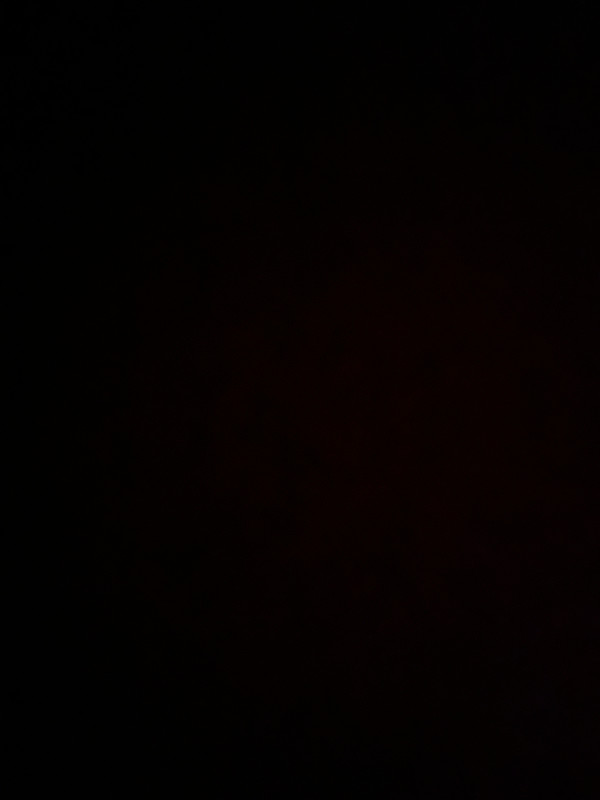 IMG 2221