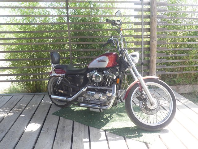 16 aout Marsillargues Carbu et Vachette (6)