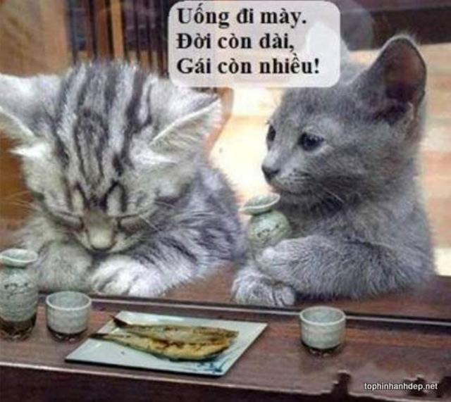 [Image: hinh-anh-hai-huoc-ve-tinh-yeu-11.jpg]