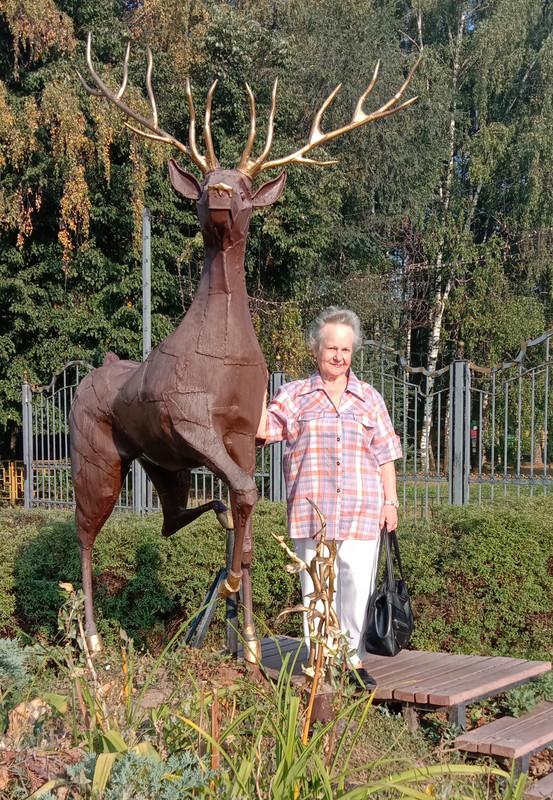 Гордый олень 1