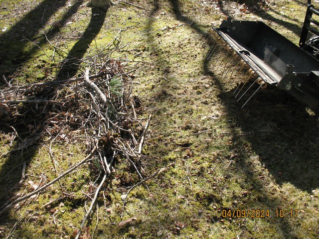 IMG-7761.jpg