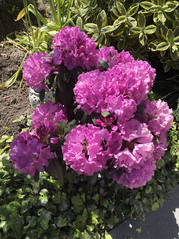 D30F37E3-D13E-489A-9FE6-7D80DA3E748B