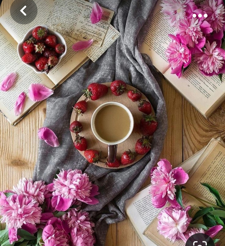 Screenshot_20231031_214019_Pinterest