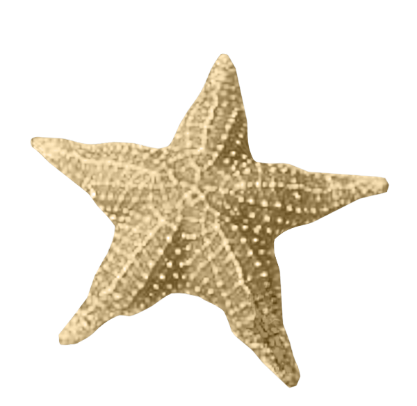 Siempre Libre & Glitters y Gifs Animados Nº354 - Página 63 BBD-LSD-STARFISH-01