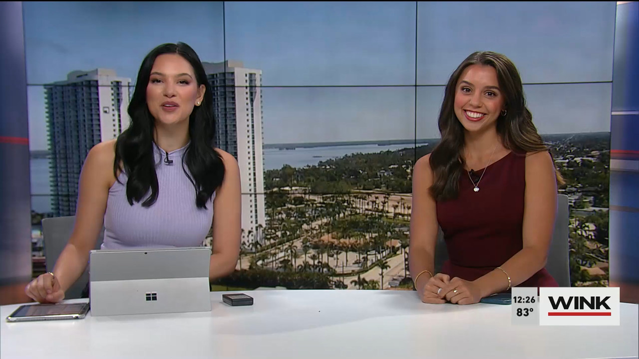 05.04 - 17.00.00 - The WINK Noon News  ᴺᵉʷ. Midday news update..ts_snapshot_33.19.785