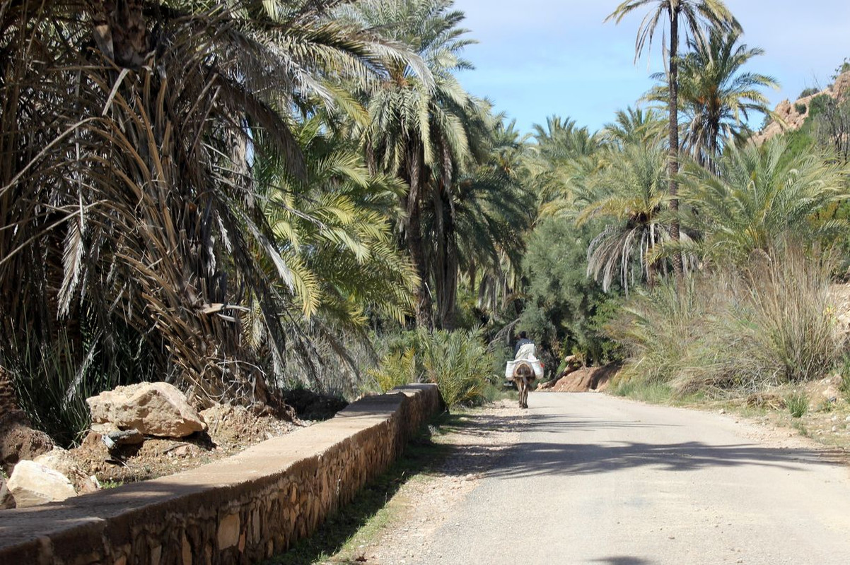 Agadir - Blogs de Marruecos - Que visitar en los alrededores de Agadir (17)