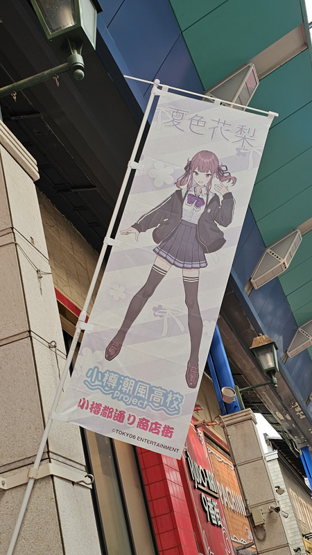 夏色花梨-旗幟