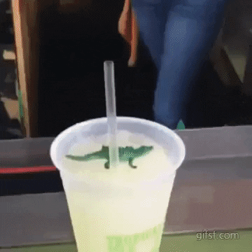 https://i.postimg.cc/rwrtWkF5/1.gif