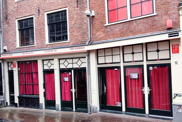 Vermeer, alquilar bicis, molinos.... - Amsterdam 2023 en pareja (15)