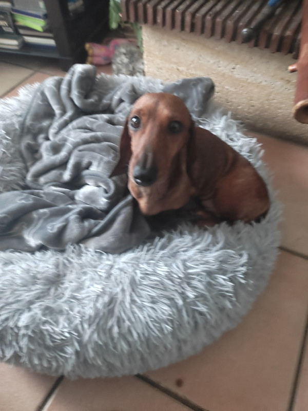 [Image: IMG-20231231-131125.jpg]