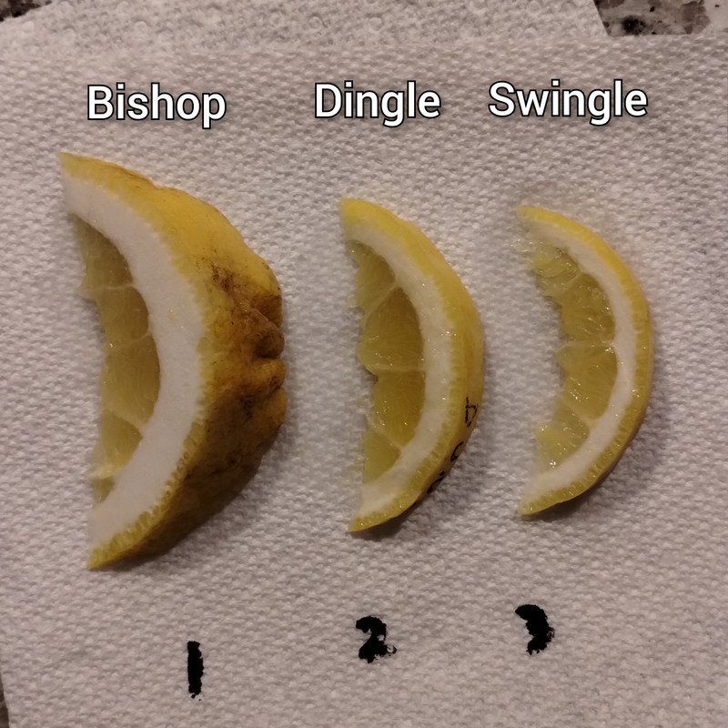 InCollage_20241206_074555674