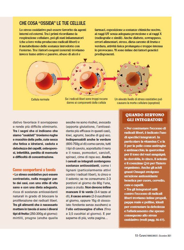 Cur Mang Dic 2021 (6)