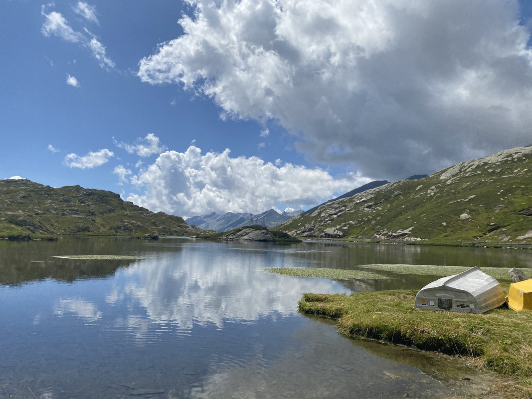 005ACE68-AAF2-420D-8290-D1B9FB120BDE