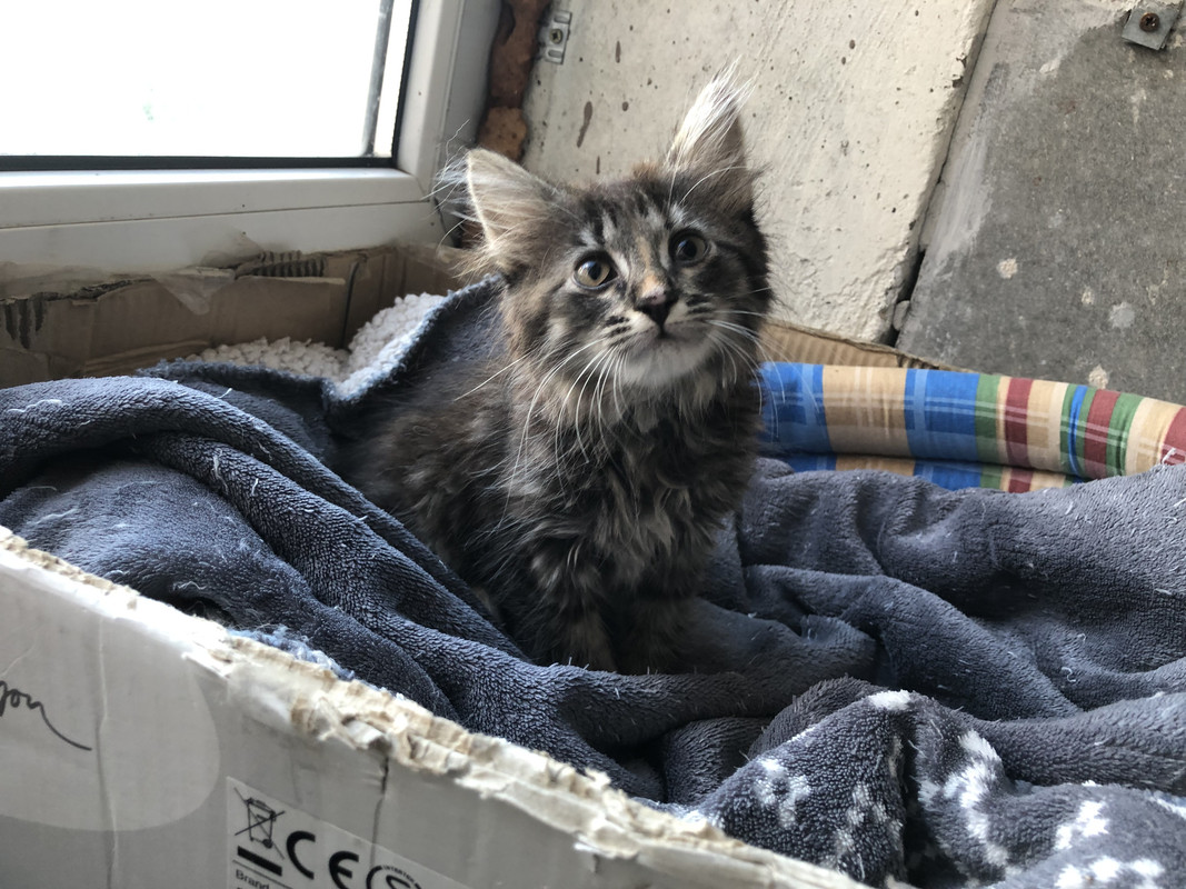 408F4CBB-5B8D-4564-8784-0E918DA14F1D