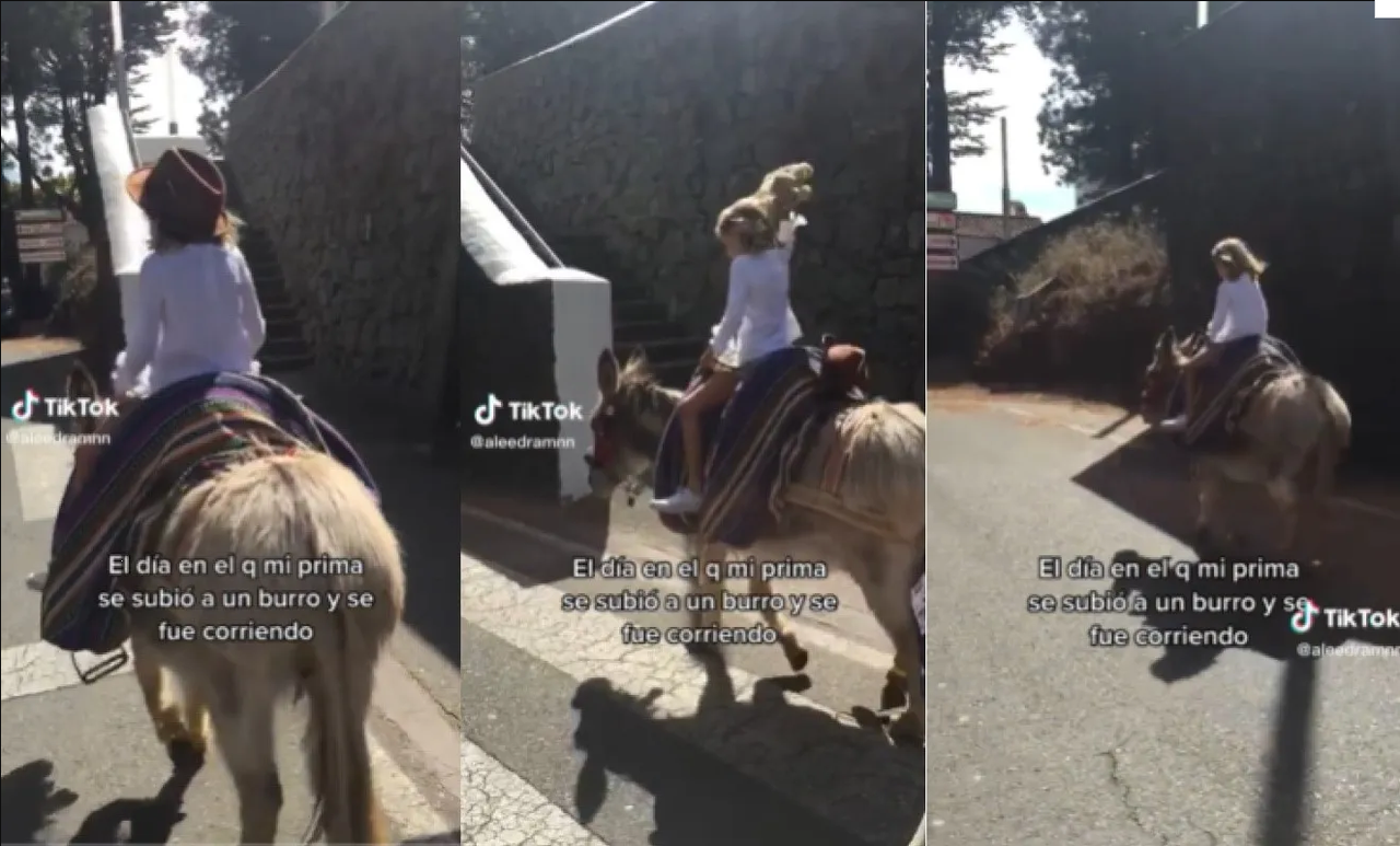 Burrito “secuestró” a una niña y se la lleva sobre su lomo