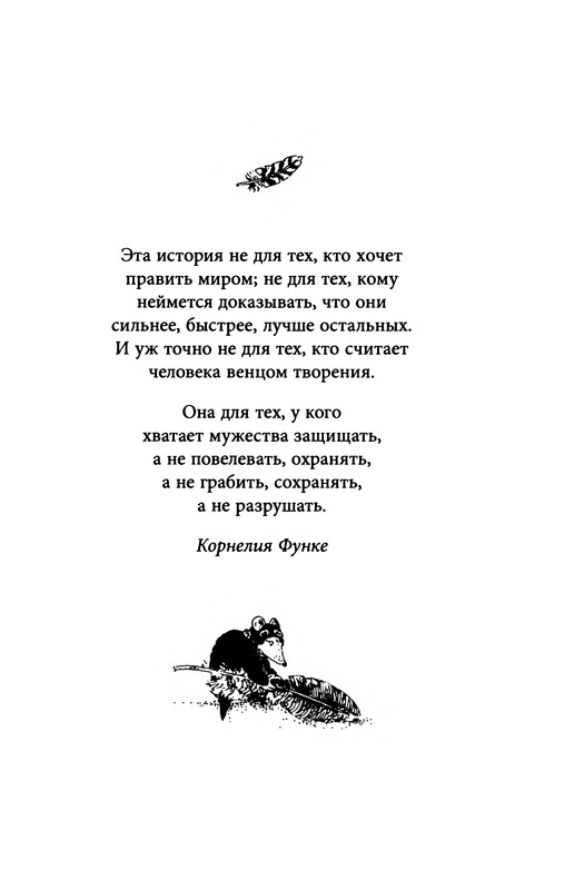 p0006