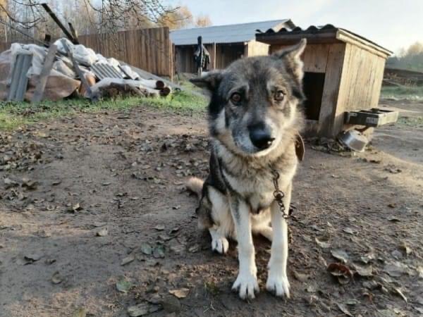 8743408A-4D5A-4684-8618-E97A1A369335