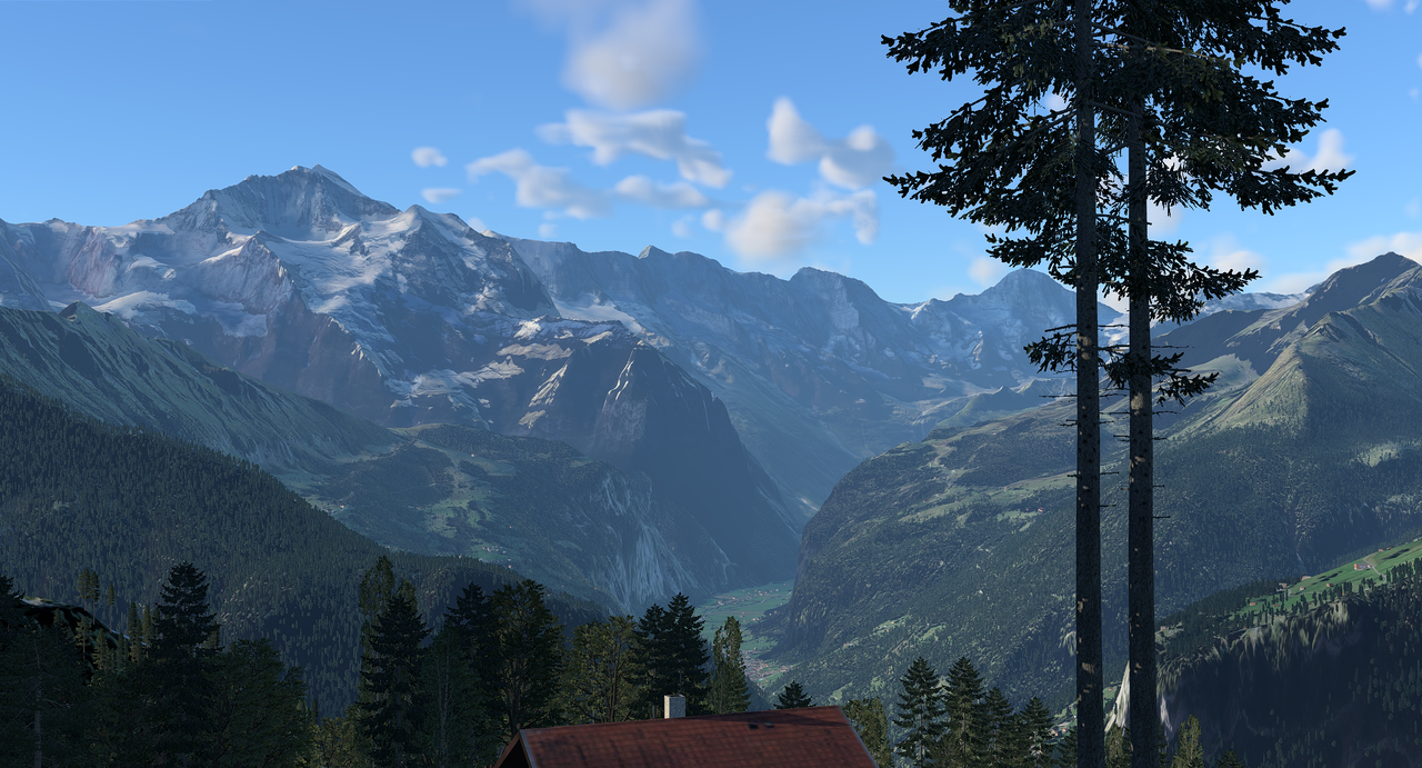 Swiss19.png