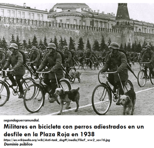 Desfile en la Plaza Roja con perros adiestrados, 1938