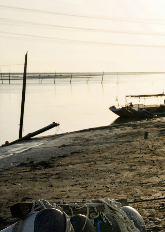 067