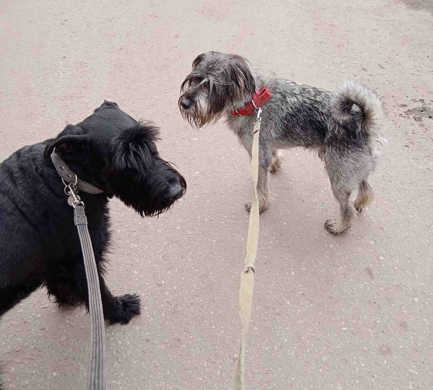 Безымянный