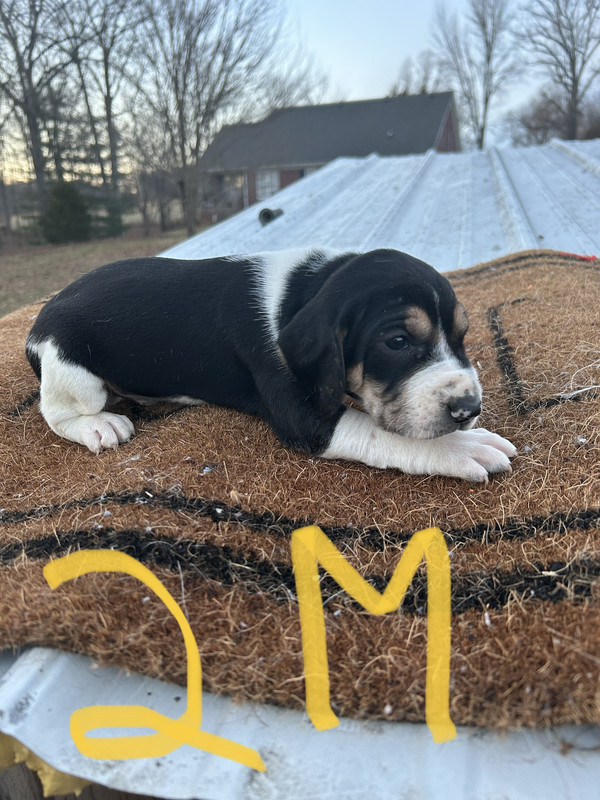 2D510853-7DDA-4C3B-915F-F3544766A85F