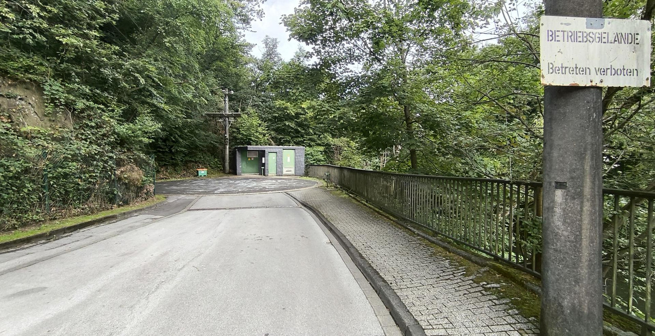 [Bild: IMG-20250730-110241b.jpg]