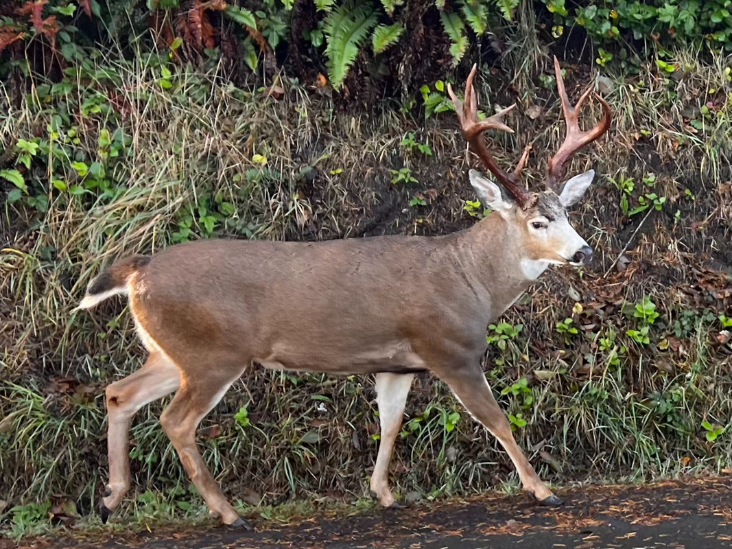 52C0E420-CD88-4204-8E6E-A3DD05E615DF