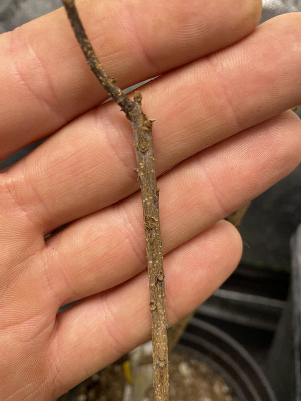 DA47D236-46C9-4CDA-B034-634A09CE6CA9